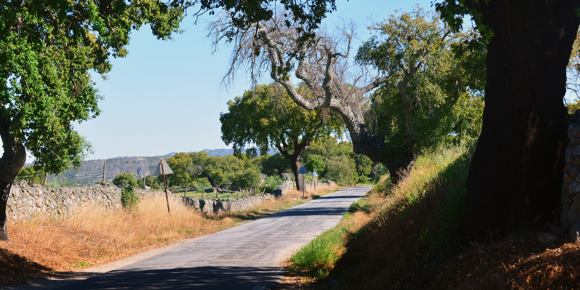 Estrada perto de Stº António das Areias